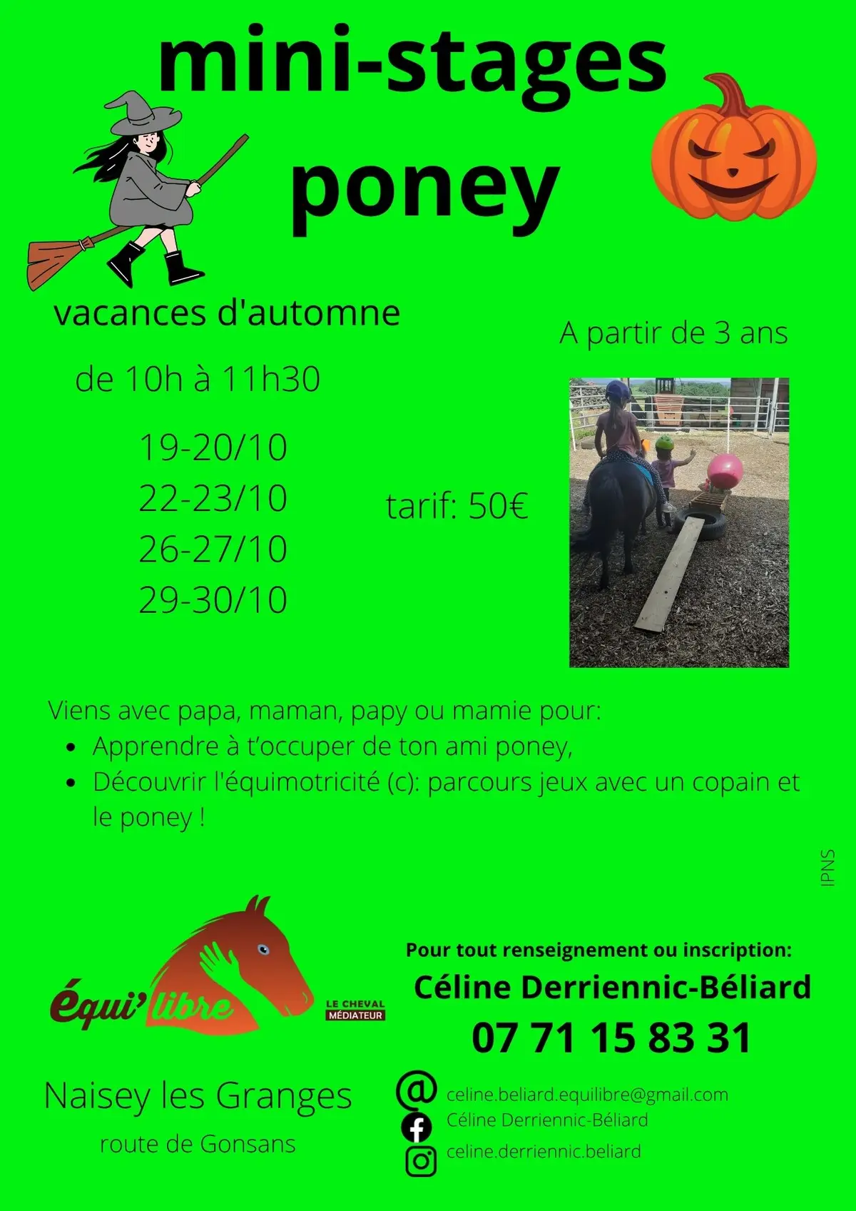 stages poney et découverte de l'équimotricité(c)