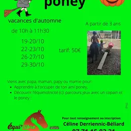 stages poney et découverte de l'équimotricité(c)