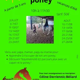 stages poneys et découverte de l'équimotricité(c)