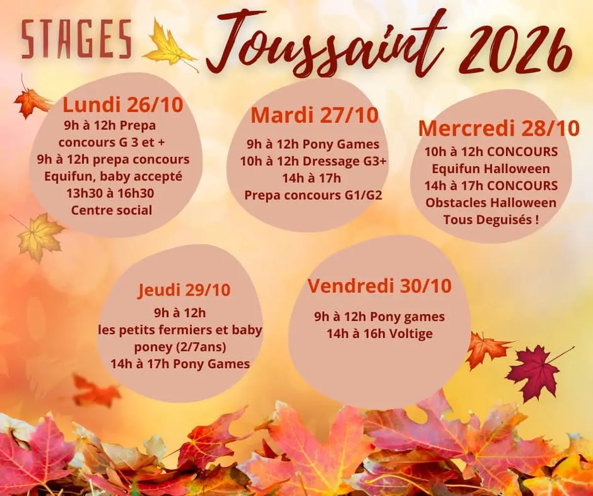 Stages Toussaint 2026 - 2ème semaine
