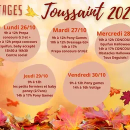Stages Toussaint 2026 - 2ème semaine