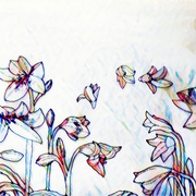 Stages Yoga Iyengar débutants et intermédiaires