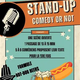Stand Up Comedy or Not !