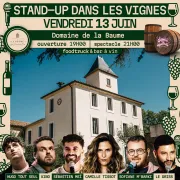 Stand-Up Dans Les Vignes