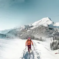 Station de Ski de Châtel - Les Portes du Soleil DR