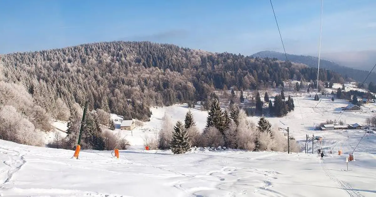 Une vue imprenables sur les forêts environnantes