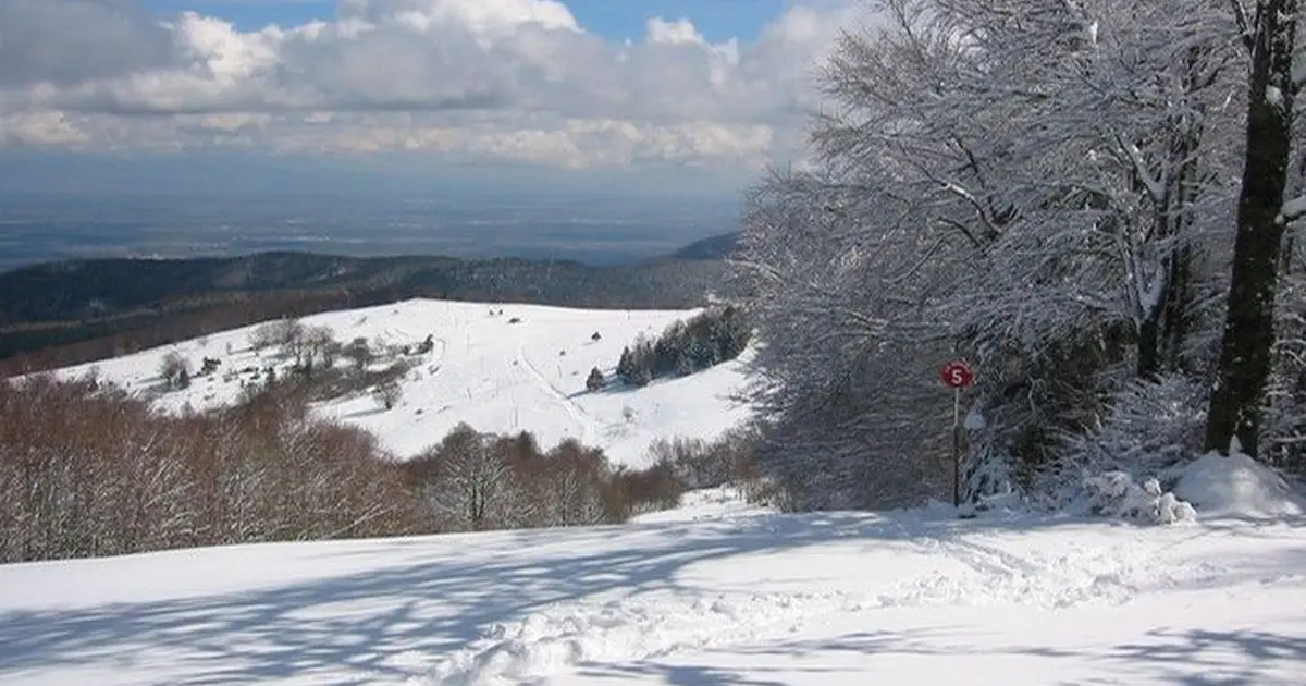 Piste de ski du domaine