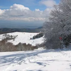 Station de Ski du Grand Ballon