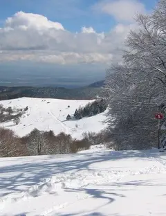 Station de Ski du Grand Ballon