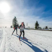Ski nordique au Champ du Feu DR