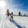 Ski nordique au Champ du Feu DR