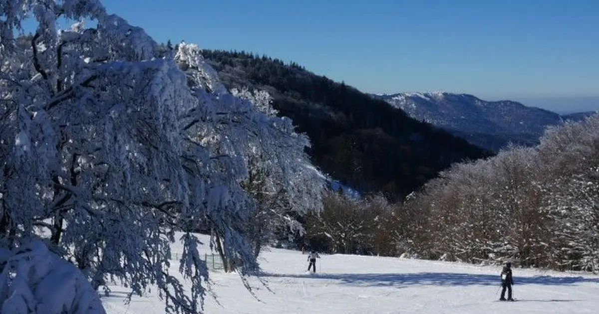 Les pistes du Rouge Gazon