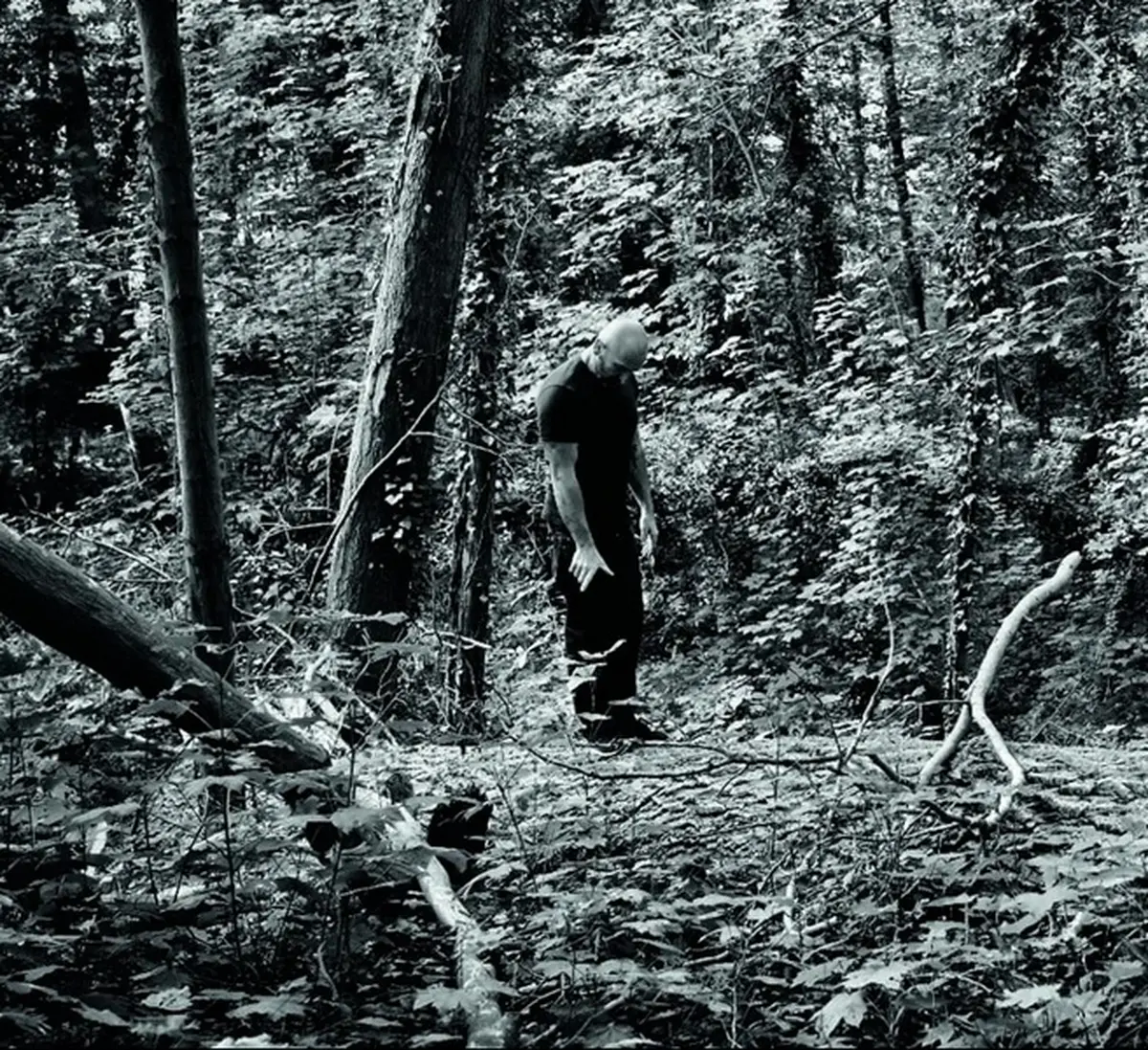 Steph Cop Chemin de Bibracte acte I