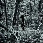 Steph Cop Chemin de Bibracte acte I