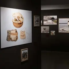Stimultania