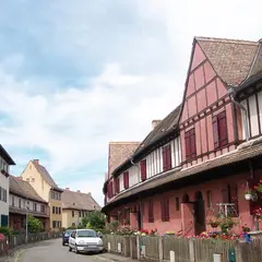 Stockfeld