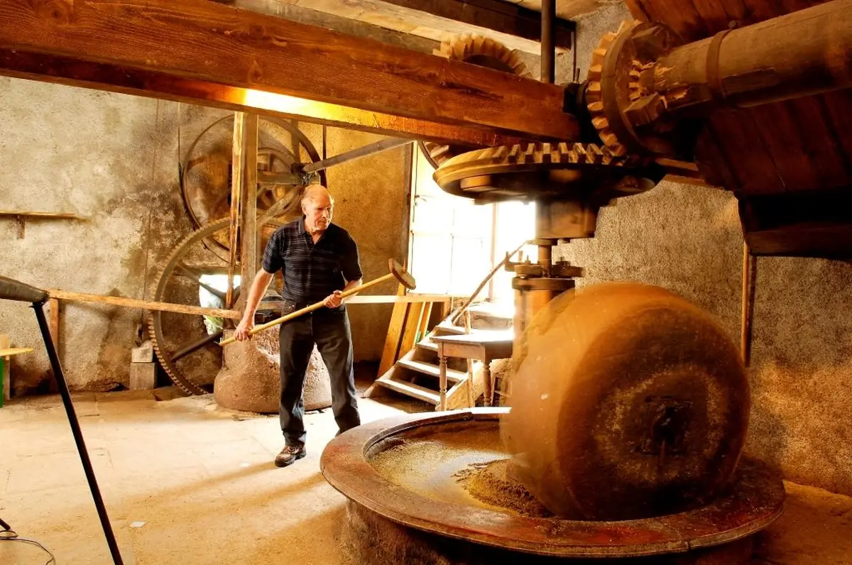 La roue en marche du Moulin à Huile de Storckensohn