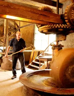 Moulin à huile de Storckensohn