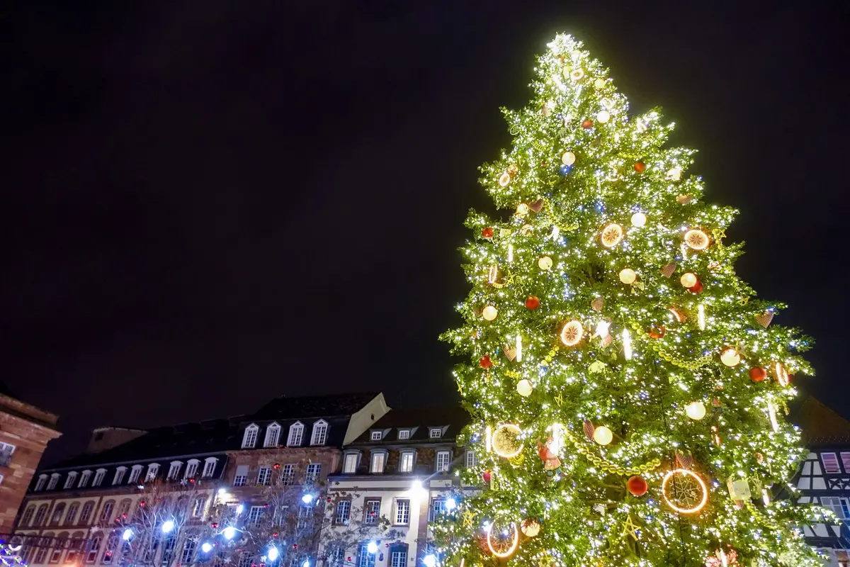 Strasbourg : on sait (enfin) quand le grand sapin de Noël 2026 va débarquer place Kléber !