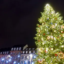 Strasbourg : on sait (enfin) quand le grand sapin de Noël 2026 va débarquer place Kléber !