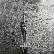 Studio, Wounds and Battles, Desire is the reiteration of hope. Cathy de Monchaux