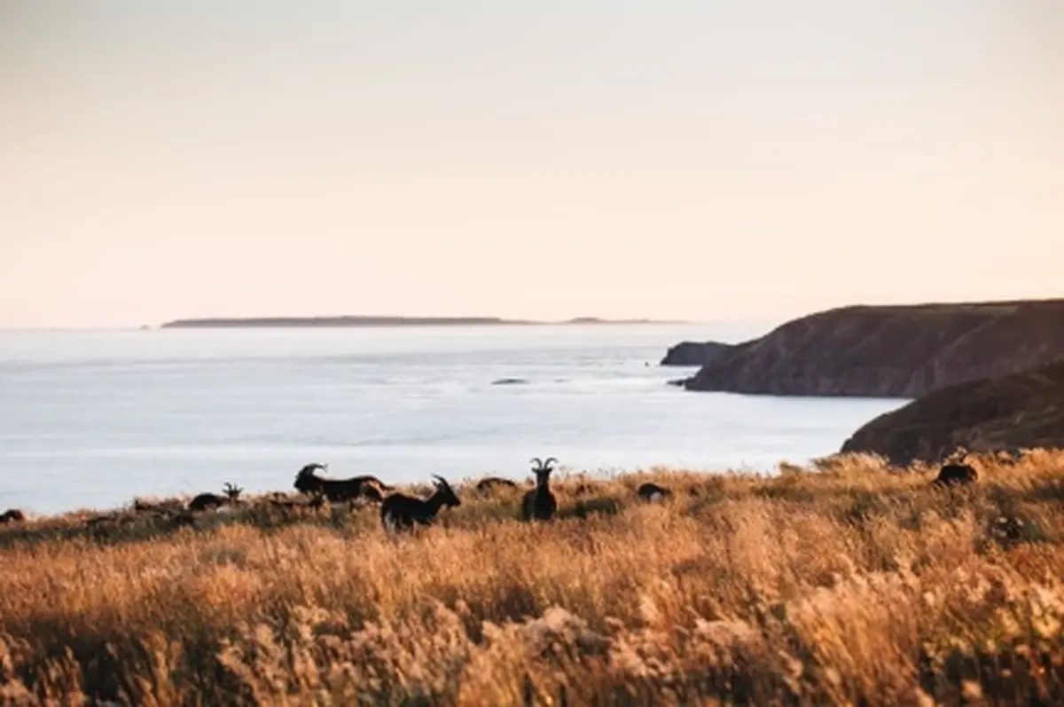 Sû la mé : Excursion week-end à Aurigny