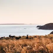 Sû la mé : Excursion week-end à Aurigny