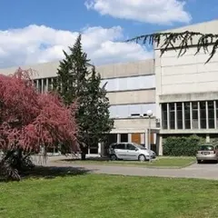 Service Universitaire d'Activités Physiques et Sportives