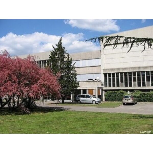 SUAPS de Strasbourg Centre Sportif Universitaire, pratique sportive JDS