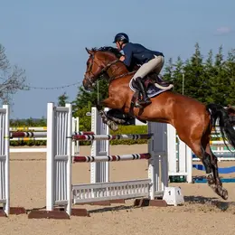Sud Touraine jumping festival