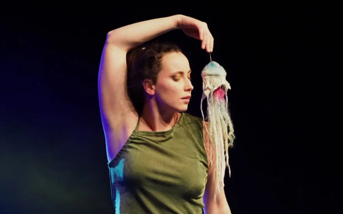 Suis-moi So(u)lo - Compagnie AKILA