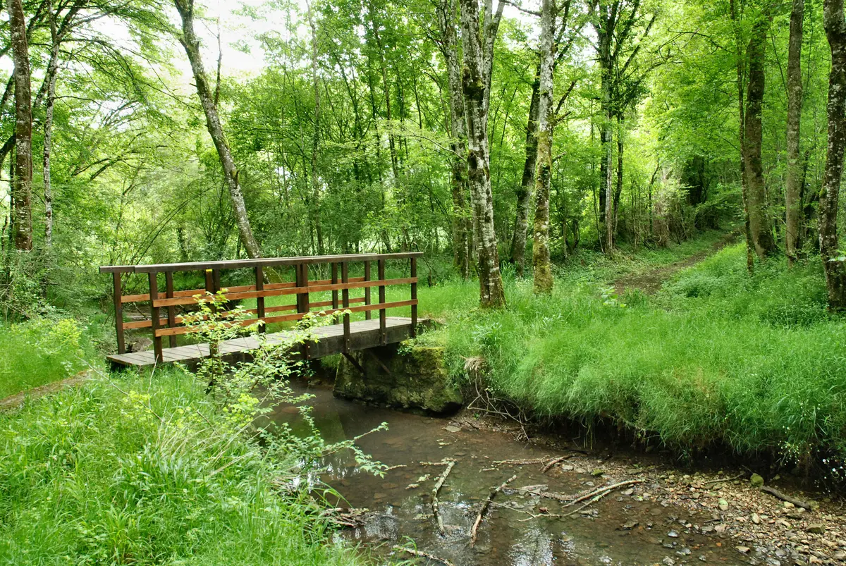 Suivez la Huppe : Sur les pas de George Sand - Chambon