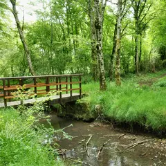 Suivez la Huppe : Sur les pas de George Sand - Chambon
