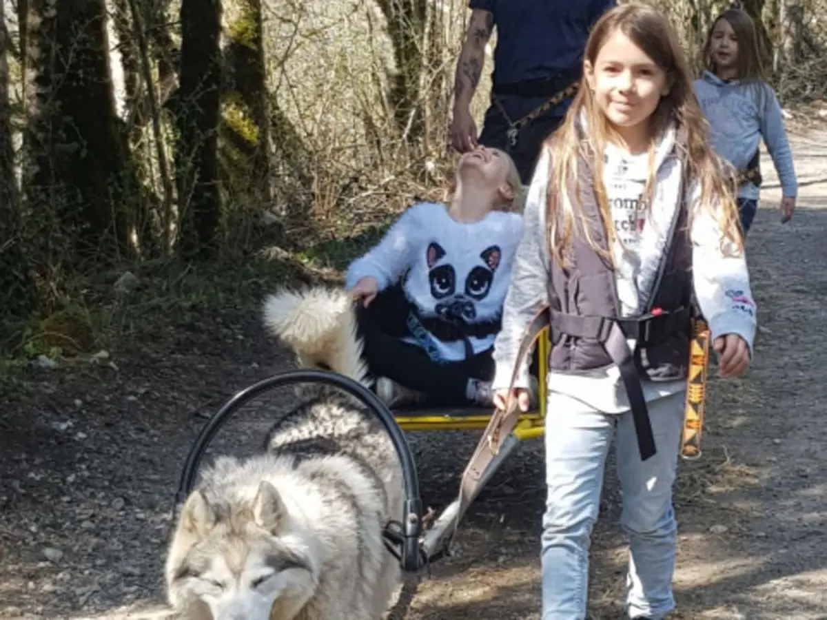 Sulky attelé à Vailly (74)