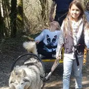 Sulky attelé à Vailly (74)