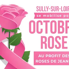 Sully sur Loire se mobilise pour Octobre Rose