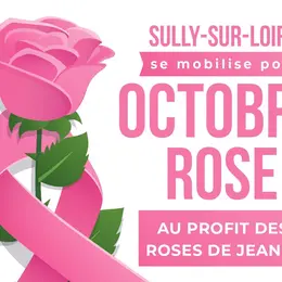 Sully sur Loire se mobilise pour Octobre Rose