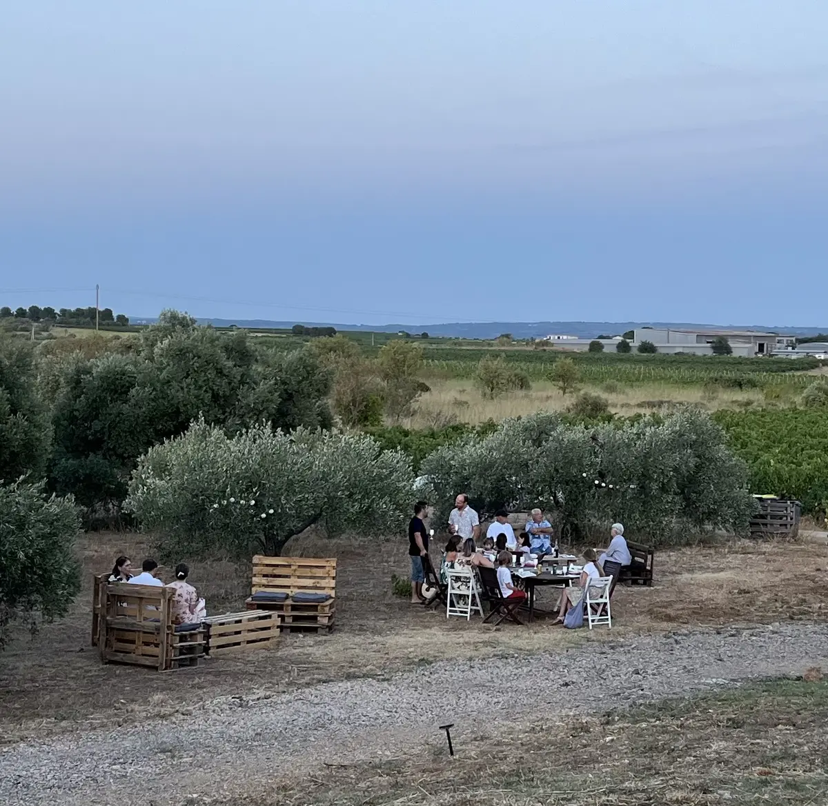 Sunset Party