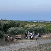 Sunset Party