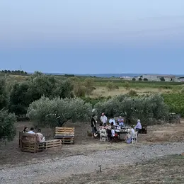 Sunset Party