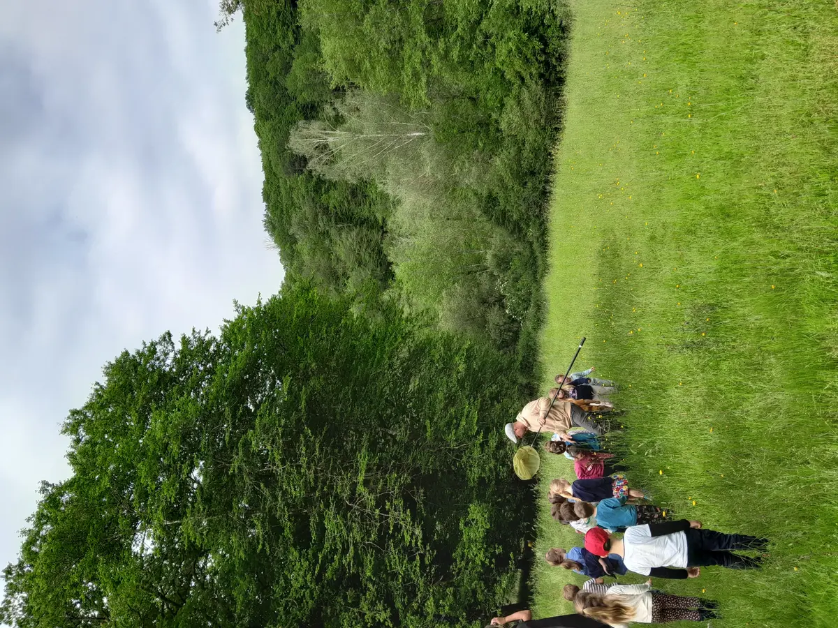 Sur la piste des abeilles sauvages