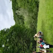 Sur la piste des abeilles sauvages