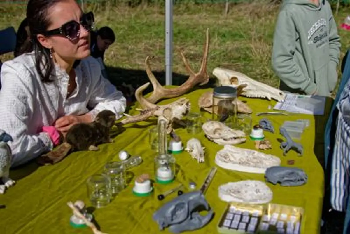 Sur la piste des animaux : empreintes et compagnie