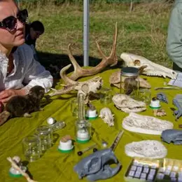 Sur la piste des animaux : empreintes et compagnie