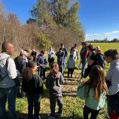 Sur la piste des animaux sauvages