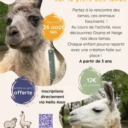 Sur La Piste Des Lamas