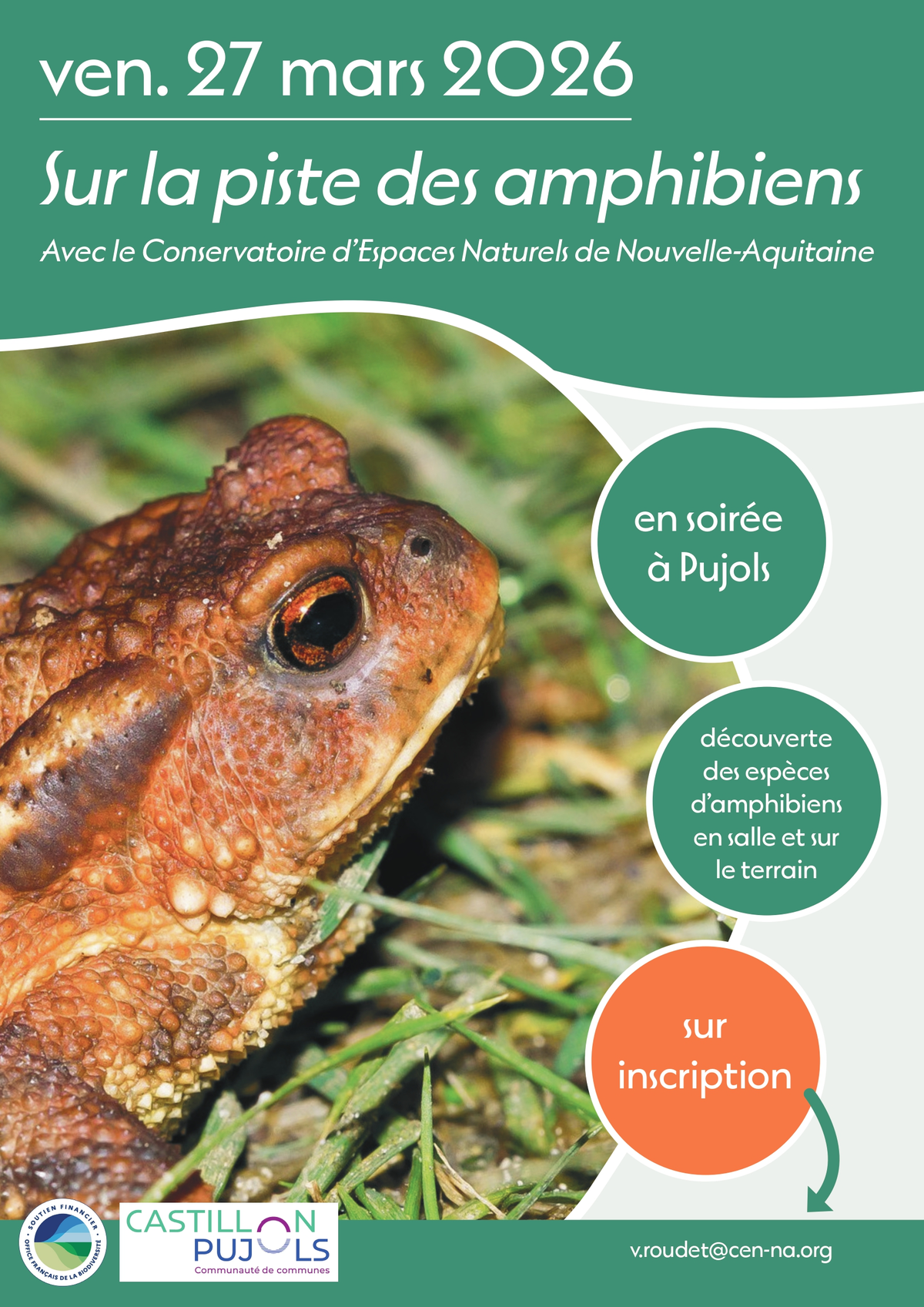 Sur la pistes des amphibiens
