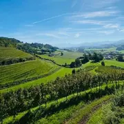 Sur la route d'Irouleguy en Side-Car (64)