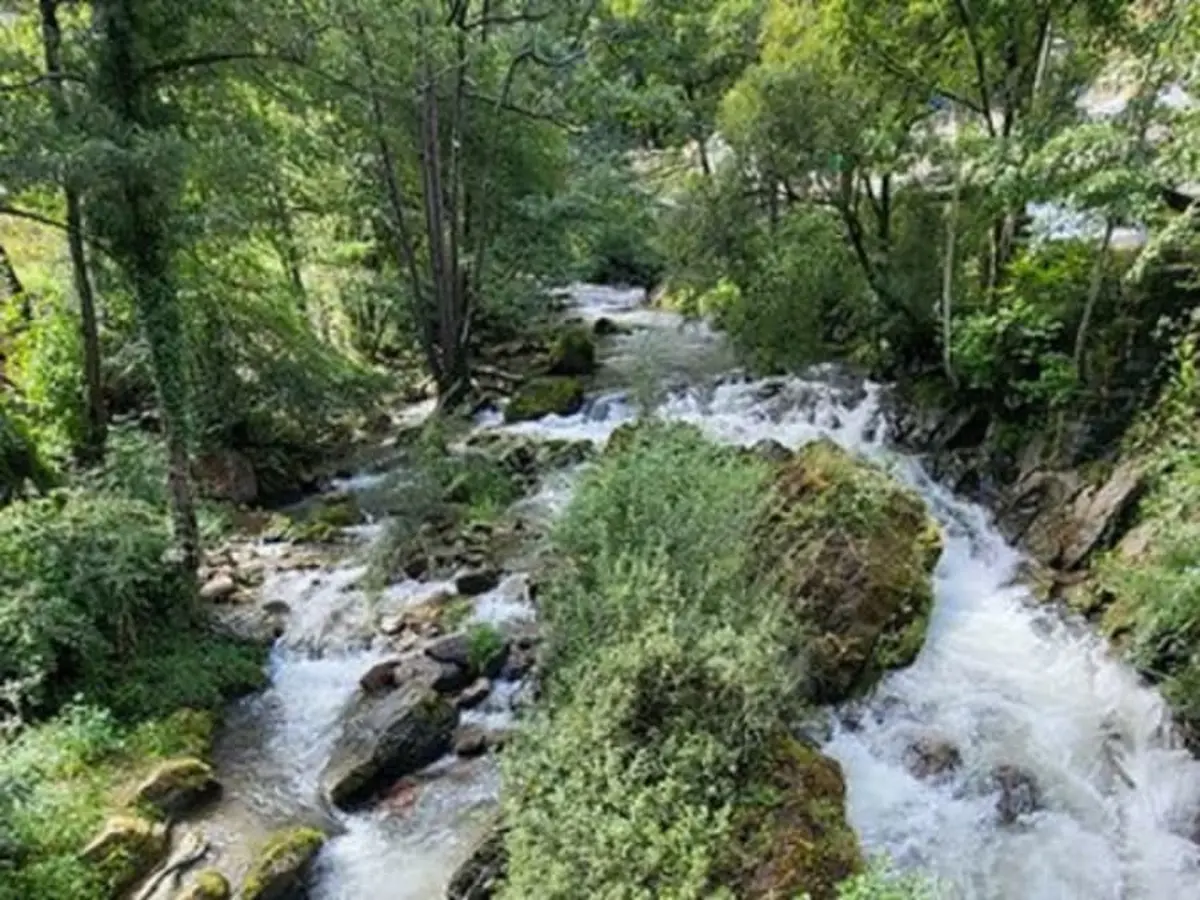 Sur la route des truites et du Kintoa en Side-Car (64)