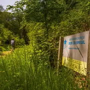 Sur la trace et indices de présence d'animaux du bois du Breuil